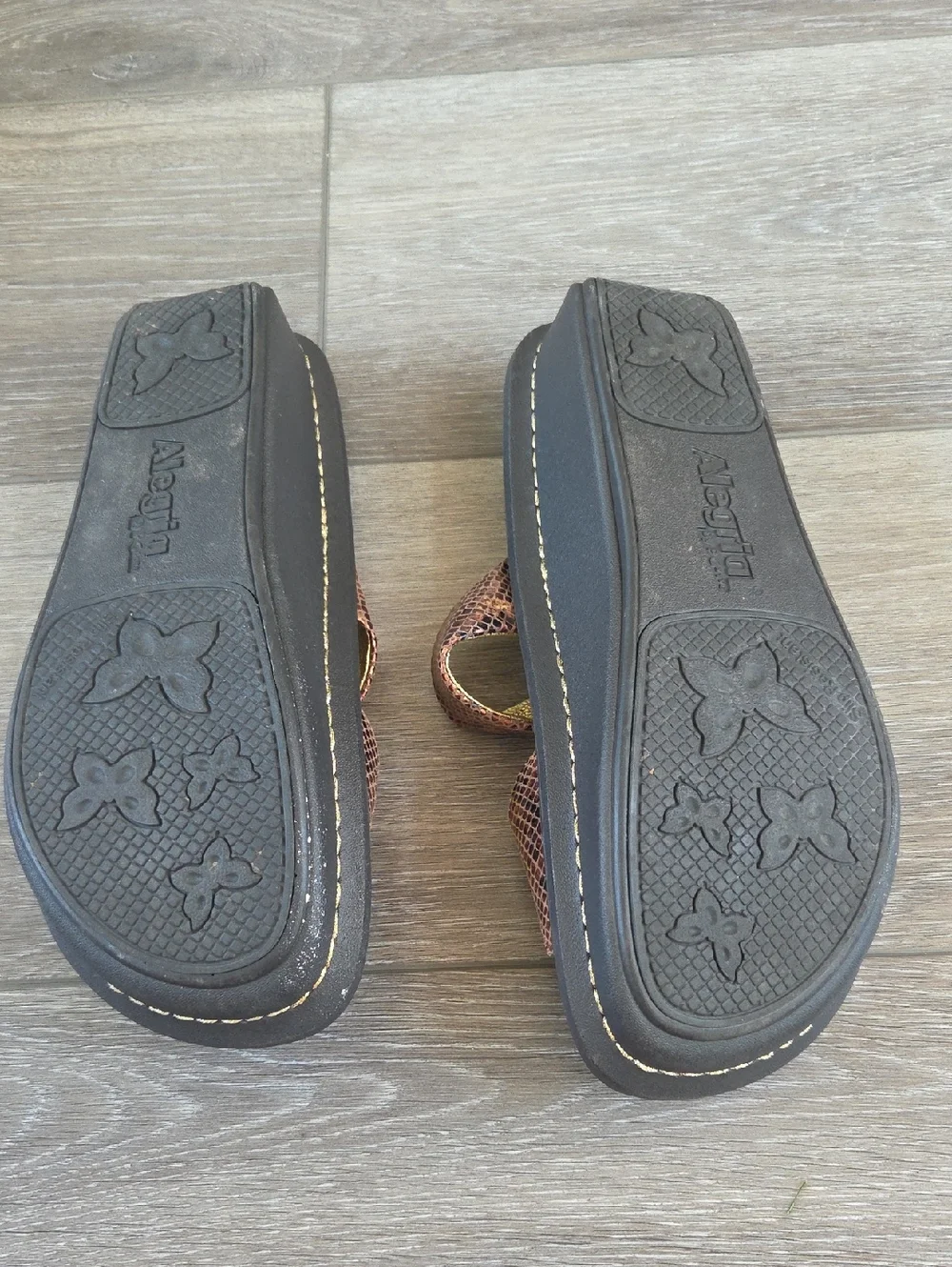 Allegria Metallic Slides 37